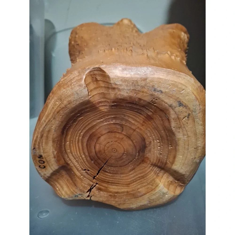 Hand Carved Burl Root Wood Vintage Large Basket 9